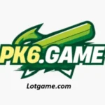 Pk6 game